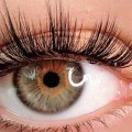 What different types of eyelash extensions are there?